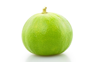 lime on white background