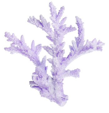 lilac color isolated coral branch