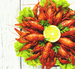 crawfish on wooden background