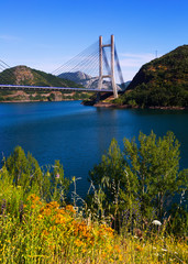 Fototapeta premium Landscape with cable-stayed bridge