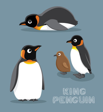 King Penguin Cartoon Vector Illustration
