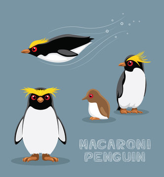 Macaroni Penguin Cartoon Vector Illustration