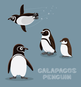 Galapagos Penguin Cartoon Vector Illustration