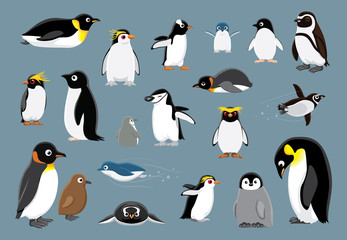 Fototapeta premium Różne pingwiny kreskówka wektor ilustracja