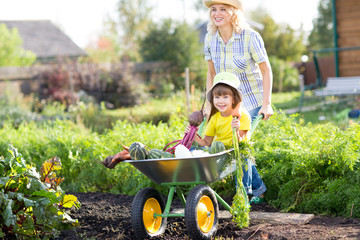 Gardener woman pushing wheelbarrow with kid daughter and