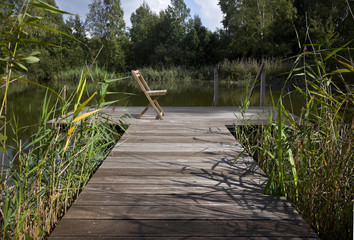 Gartenteich mit Steg