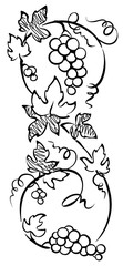 Design element, border -- vine. Graphic illustration.