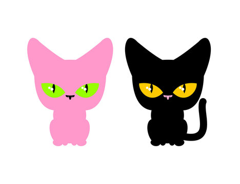 Pink and black cat. Vector set pets. Animal on white background.