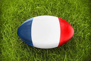 Rugby ball world cup 2015 in the grass