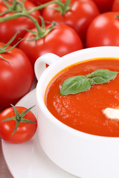 Tomatensuppe Tomaten Suppe in Suppentasse mit Basilikum