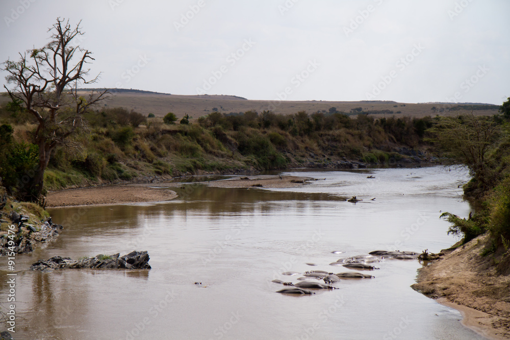 Canvas Prints mara river overview in the masai mara kenya