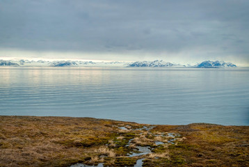 Arctic tundra with snowy mountains and ocean