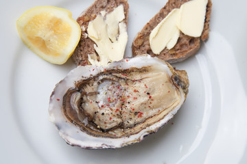 Oyster on the plate with bread and butter 