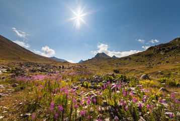 Fototapety na wymiar - Fototapeta24.pl
