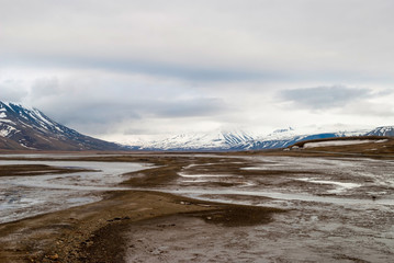 Arctic tundra in early summer mud, Svalbard