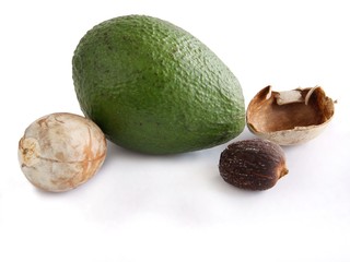 avocado fruit and seed