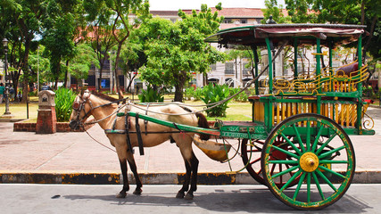 Wooden Horse Coach Transportation in Asia