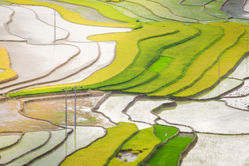 rice terraces field in Mu Cang Chai, Vietnam