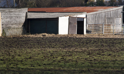 Stable