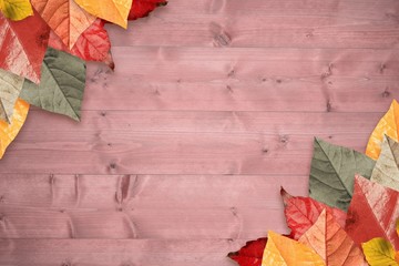 Naklejka na ściany i meble Composite image of autumn leaves pattern