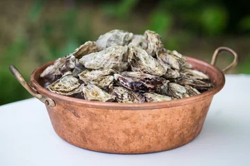 Foto auf Acrylglas Fresh oysters lay in bucket © popovich22