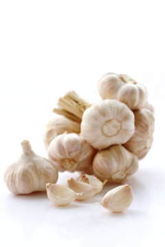 Fresh organic garlic on white.