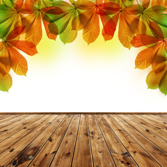 Naklejka na ściany i meble Autumn leaves of chestnut tree with wooden board.