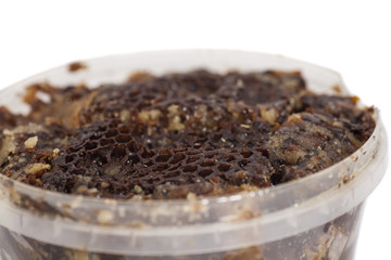 Honeycomb close up on  white