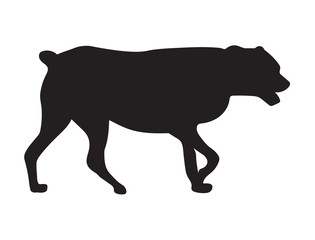 black silhouette of dog