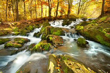 bunter Herbstwald mit Wasserfall