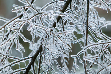 Ice Storm