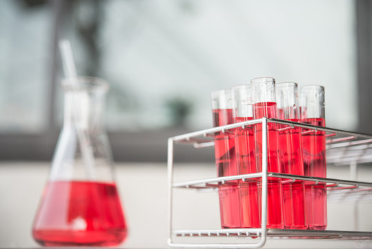 Glass laboratory chemical test tubes with red liquid. Selective