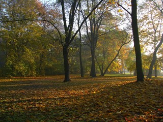 Świt  © mrdark777