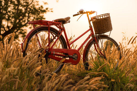 beautiful landscape image with Bicycle  at sunset