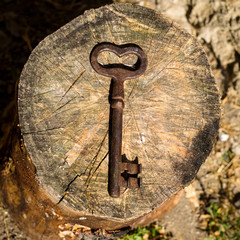 old key symbol