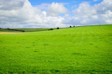 Green field and blue sky with cloud background