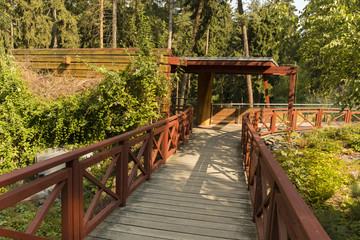 Fototapeta na wymiar boardwalk with railings landscape