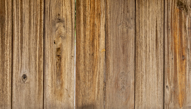 Wood texture wall background in the sunny day light