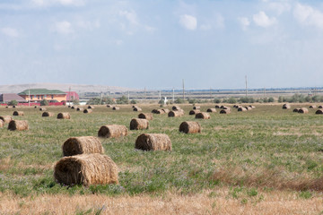 haystack in the field, summer day