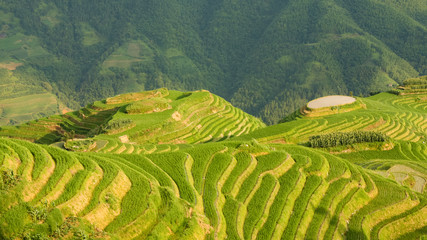 Fototapeta premium Longsheng rice terraces guilin china landscape