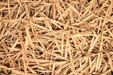 Many dry bamboo leaves as a background