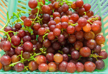 Fresh Grape