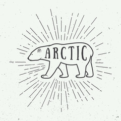 Vintage arctic white bear with slogan.