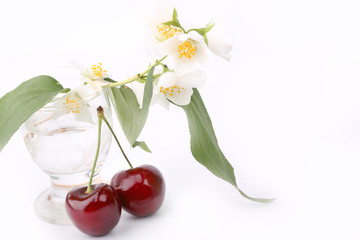 cherry and jasmine flowers isolated on white background