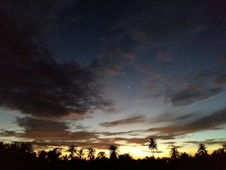 Obraz premium In the morning