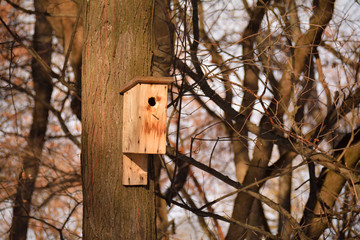 Wooden birdhouse on the tree trunk
