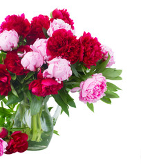 red and pink peonies