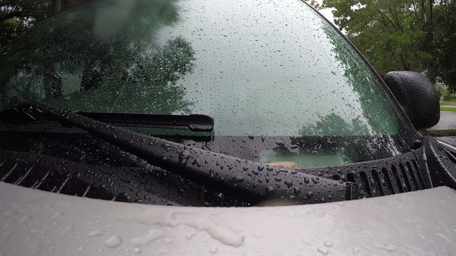 Rain falling on parked truck Florida 
