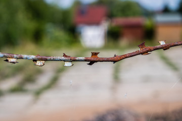 Grenzzaun mit Stacheldraht