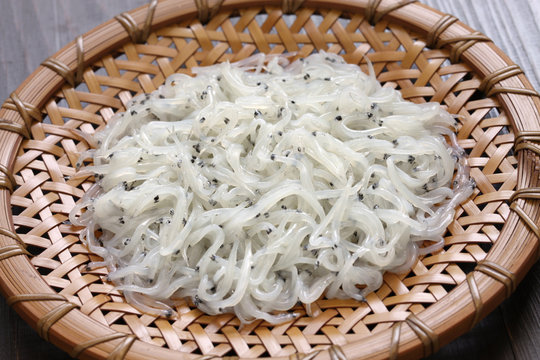 icefishes, noodlefishes on japanese bamboo strainer